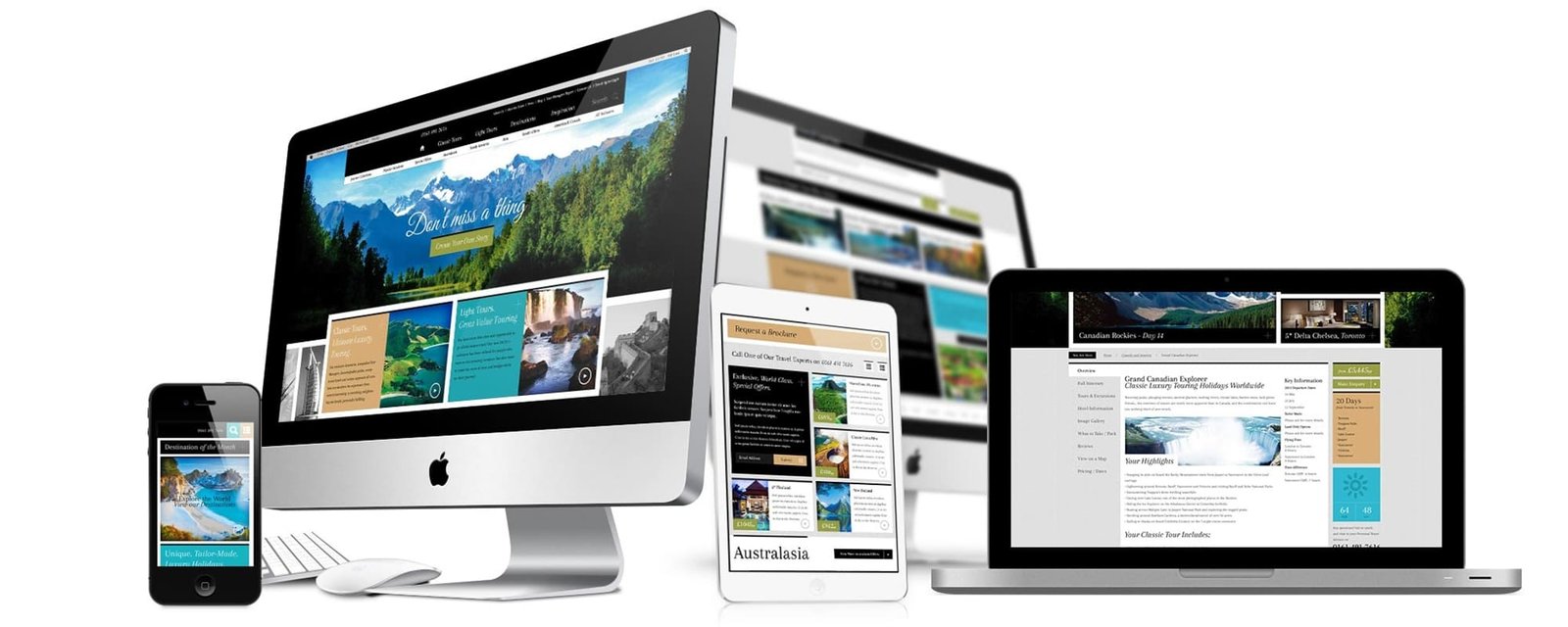 Some Importance facts of Website Translation
